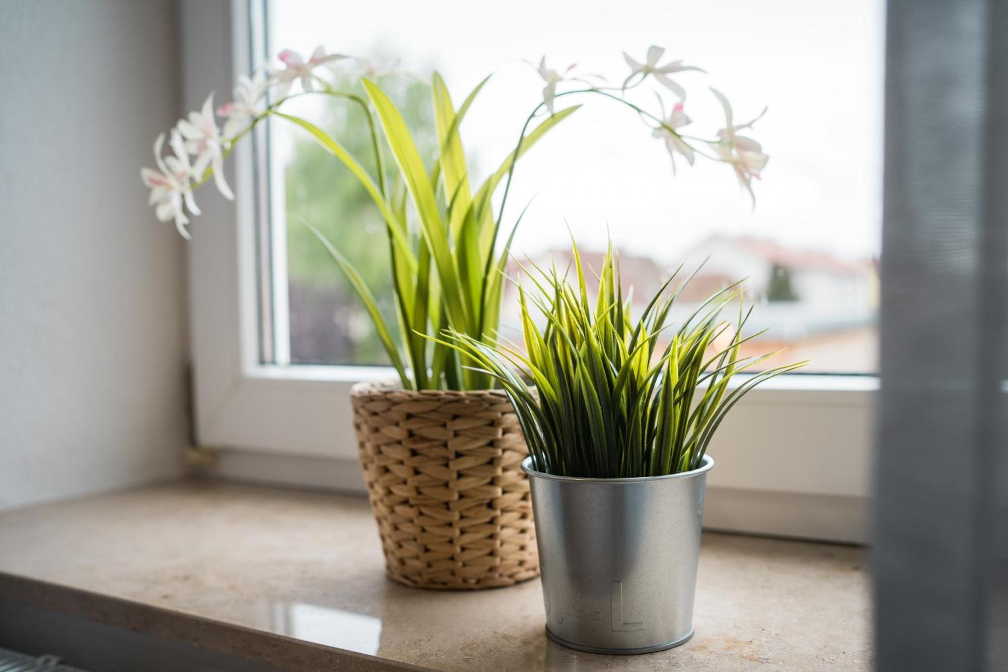 Doppelzimmer 1 - Neu Renoviert Dinkelsbühl Kültér fotó